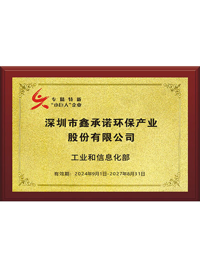 证书19